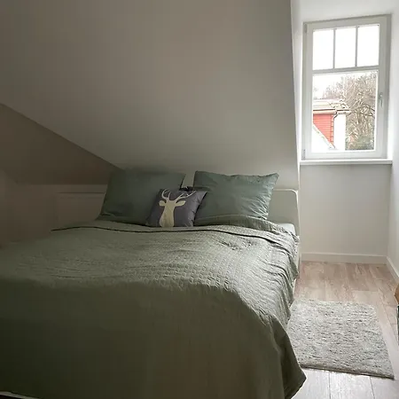 Apartment Elbhirsch Im Beliebten Villenviertel Weisser Hirsch Dresden Buitenkant foto